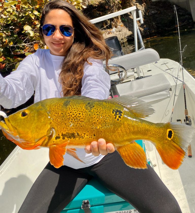 Yudith Peacock Bass Miami Canal