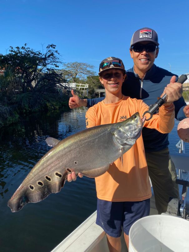 Clown Knife Fish Miami Charter