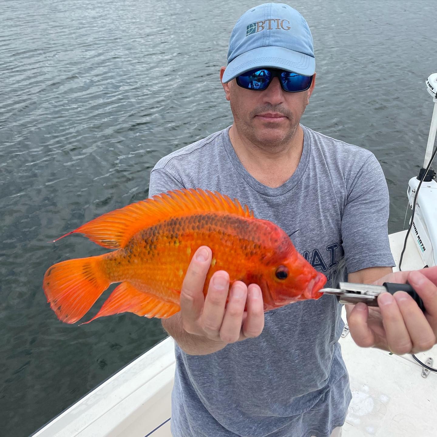 Some new species and good laughs today for Mike and His boy Charlie. #GOHARDFISHING #miami #charterfishing #lighttackle @starbrite_com @pennfishing